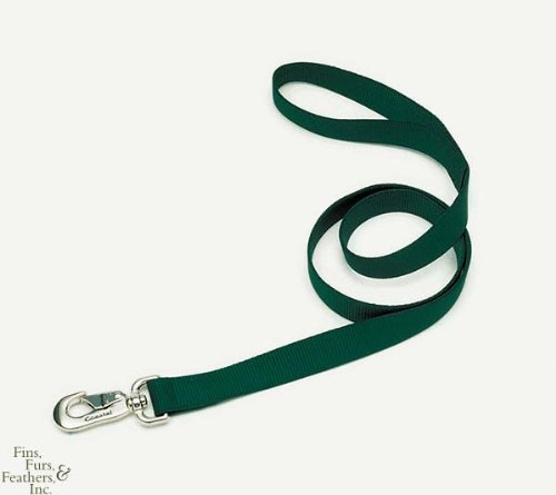 Coastal Pet Nylon Dog Leash Training Lead (Hunter Green, 6 ft. L x 3/4 Inch W)