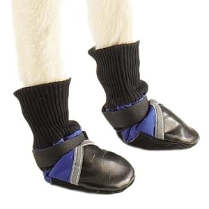 blue dog boots