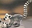 Plush Lemur 13"