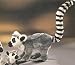 Plush Lemur 13