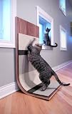 Pet Supplies : Bent Plywood Cat Scratcher