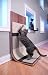 Pet Supplies : Bent Plywood Cat Scratcher