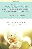 The Mother-to-Mother Postpartum Depression Support Book