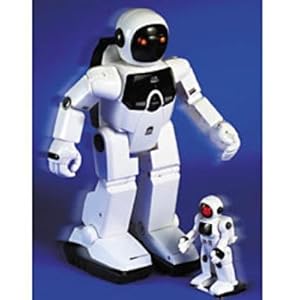 A Bot