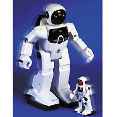 Childrens Toyshop  Toys : Program-A-Bot Robot