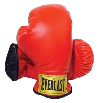 everlast boxing gloves small