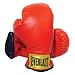 Everlast Youth Boxing Gloves (Red)