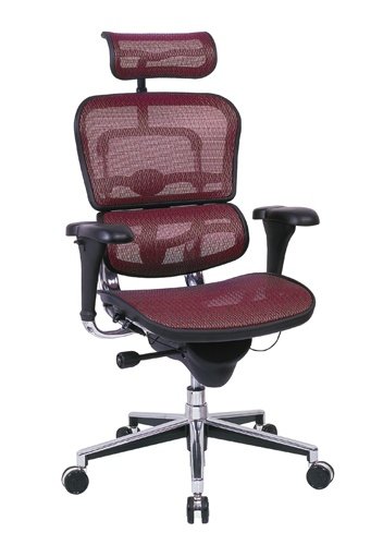 Eurotech Ergohuman Mesh Ergonomic Chair w/ Headrest