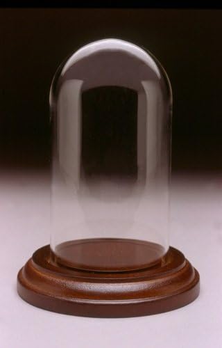 Glass and Walnut Tall Mini Dome Display Case for Glass Tear Bottles