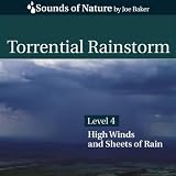 Torrential Rainstorm