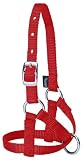Weaver Leather HLTR NY ALPACA AVG RED