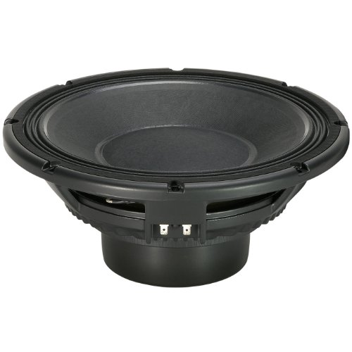 12 inch neodymium speaker price