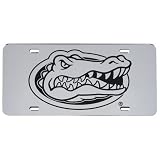 Florida Gators Etched Silver Mirror License Plate