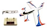 Snap&Fly - Canard Ready to Fly Airplane System