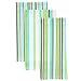 Zippy Teatowels Set of 3 - Cactus