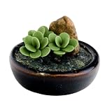 Dollhouse Miniature Jade Plant Dish Garden