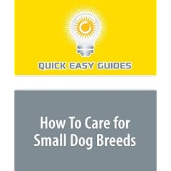 How To Care for Small Dog Breeds