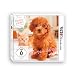 Nintendogs + Cats: Zwergpudel & Neue Freunde