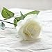 Wholesale Artificial Silk Latex Rose Flowers Wedding Bouquet Bridal Decoration Bundles Real Touch Flower Bouquets Realistic Flower Bouquet The Light Color Rose Bouquet – Dozen Pack (Cream Ivory, one Dozen-12pcs)