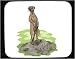 Mouse Pad with mammal, mere, gopher, cat, animal