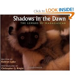 Shadows in the Dawn: The Lemurs of Madagascar