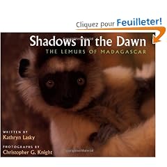 Shadows in the Dawn: The Lemurs of Madagascar