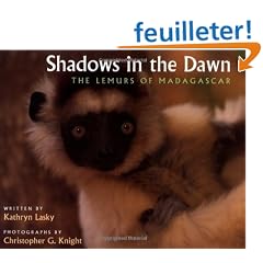 Shadows in the Dawn: The Lemurs of Madagascar