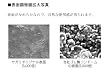 サガミオリジナル 002 12個入り