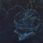 Instinct: Decay