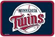 Minnesota Twins 20"x30" Door Mat - Baseball Sports Merchandise