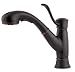 Tools & Hardware : Price Pfister 534-7RDY Picardy Single Handle Kitchen Faucet with Pull Out Spray, Tuscan Bronze