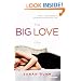 The Big Love : A Novel