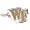 Wake Forest Demon Deacons