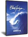 Blue Horizon [DVD]