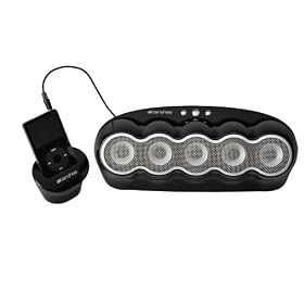 Banshee Audio 5.0 Surround Sound Speaker System for iPods MP3 Players (Black) by banshee