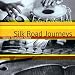 Silk Road Journeys: When Strangers Meet