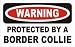 WARNING PROTECTED BY A BORDER COLLIE Hooded Sweatshirt