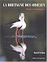 La Bretagne des oiseaux : Balades ornithologiques