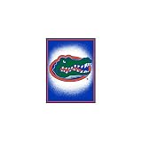 Florida Gators 48x60 Focus Series Acrylic Triple Woven Blanket Throw