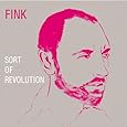 Sort of Revolution [Vinyl]