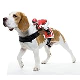 Dog Riders Jockey Pet Costume