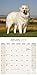 Great Pyrenees Calendar - Breed Specific Great Pyrenees Calendar - 2016 Wall calendars - Dog Calendars - Monthly Wall Calendar by Avonside