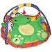 Baby Genius Cozy Friends Play Gym