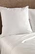 16" X 16" Pillow Insert