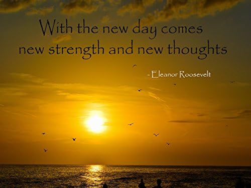 Eleanor Roosevelt Quote Motivational Quote Poster Beach Sunset Picture 18x24 (ER7)