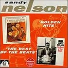 Golden Hits The Best of the Beats by Sandy Nelson