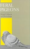 Feral Pigeons