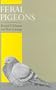 Feral Pigeons