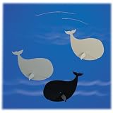 ���r�[�� �iHappy Whales)