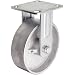 RWM Casters 46 Series Plate Caster, Rigid, Cast Iron Wheel
